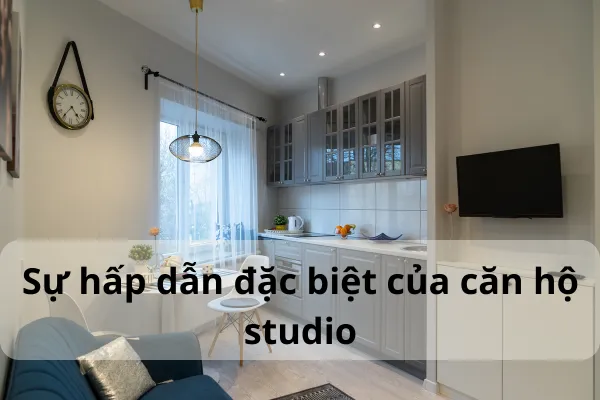 Sự hấp dẫn đặc biệt của căn hộ studio