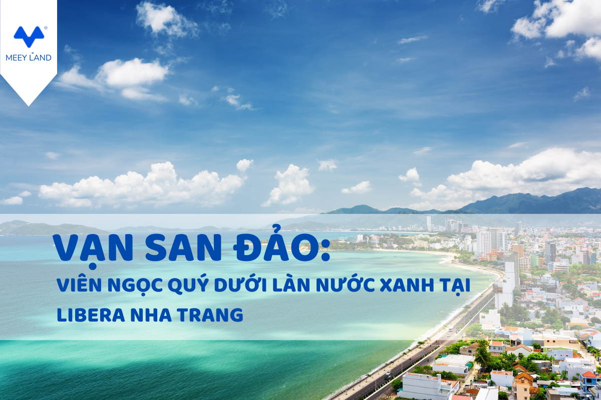 Vạn San Đảo: Viên Ngọc Quý Dưới Làn Nước Xanh Tại Libera Nha Trang