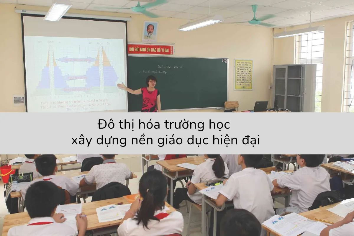 tình trạng đô thị hóa trường học