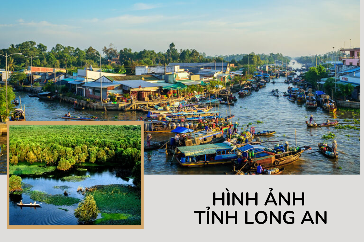 HÌnh ảnh bất động sảnLong An