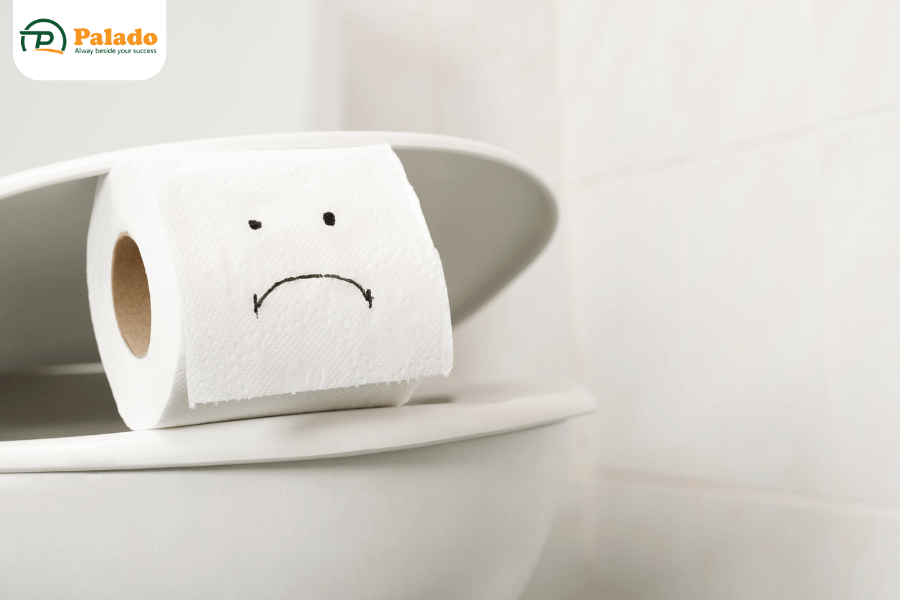 Nguyên nhân bồn cầu bị tắc nghẽn là gì?