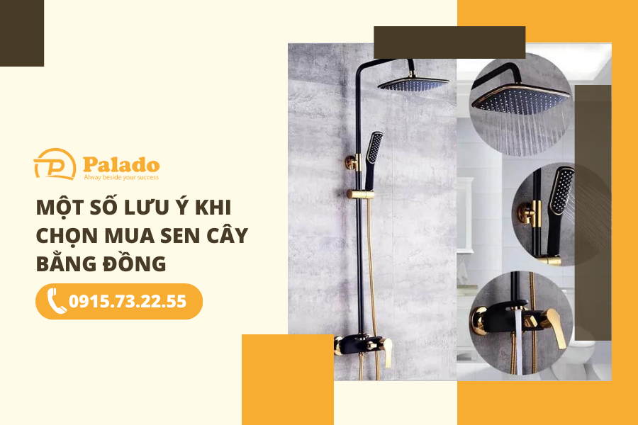 Một số lưu ý khi chọn mua sen cây bằng đồng Một số lưu ý khi chọn mua sen cây bằng đồng