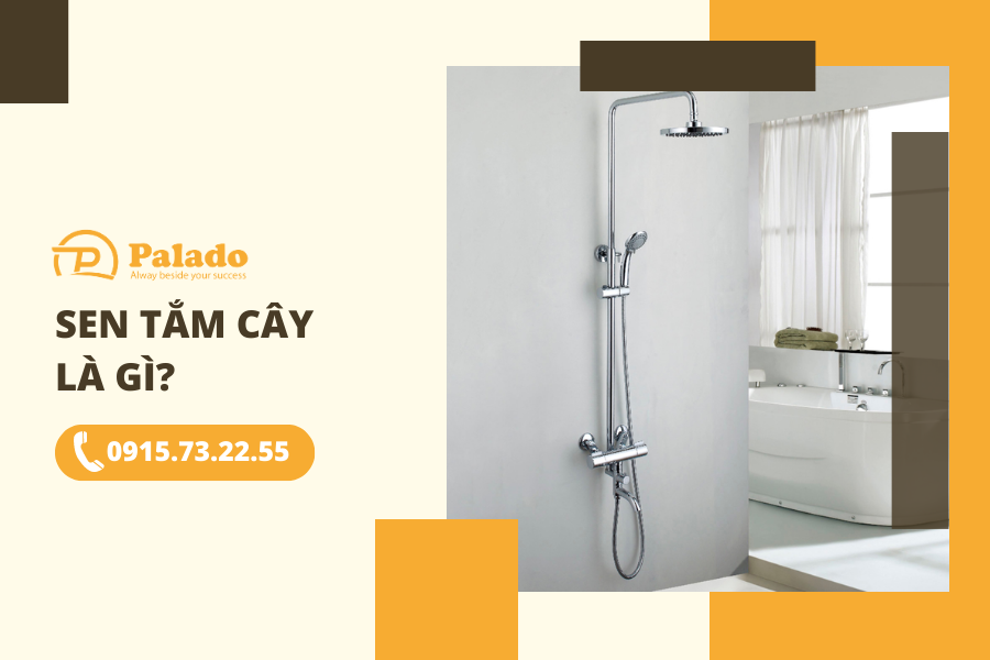 Sen tắm cây là gì Sen tắm cây là gì