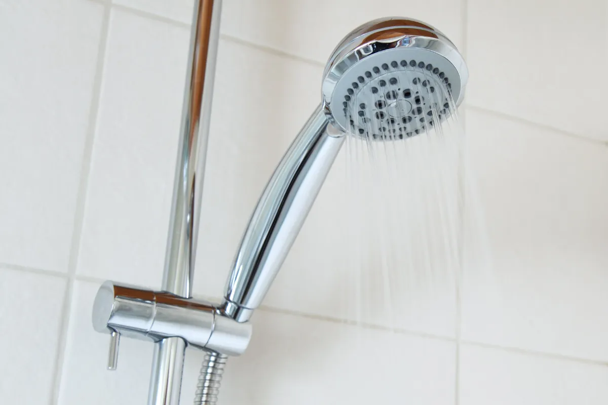 Sen tắm thường còn được gọi là sen tắm cầm tay, đây là dạng phổ biến nhất của sen tắm ngày nay. Chúng bao gồm một bát sen và một vòi nước được gắn trên tường.