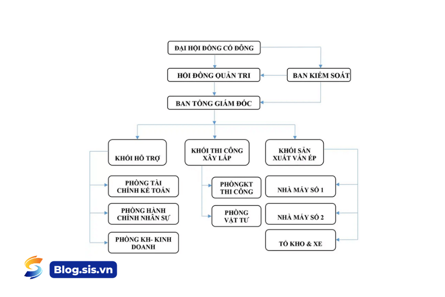 Ví dụ sơ đồ tổ chức của một công ty cổ phần tại Việt Nam