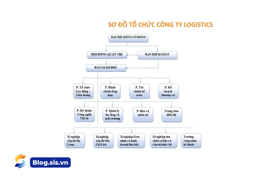 Ví dụ sơ đồ tổ chức công ty Logistics