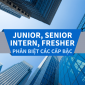 Tìm hiểu về Junior, Senior, Intern, Fresher. Cách phân biệt các cấp bậc trong doanh nghiệp