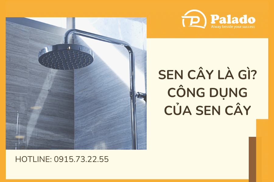 Các loại sen cây hiện nay