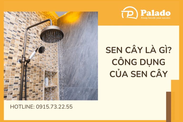 Sen cây là gì_ Công dụng nổi trội của sen cây