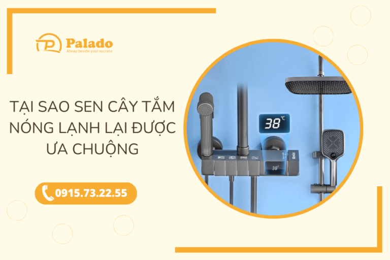 Tại sao sen cây tắm nóng lạnh lại được ưa chuộng