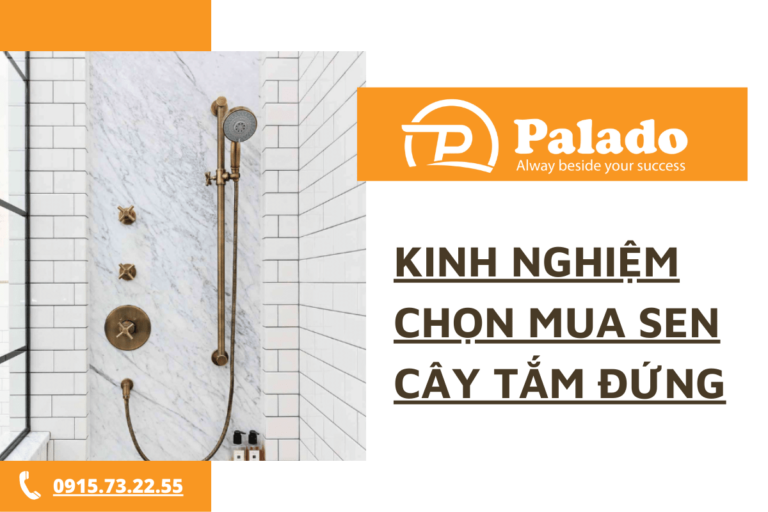 Kinh nghiệm chọn mua sen cây tắm đứng