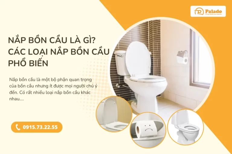 Nắp bồn cầu là gì Các loại nắp bồn cầu phổ biến