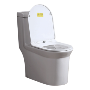 Bồn cầu liền khối Palado PLD670B