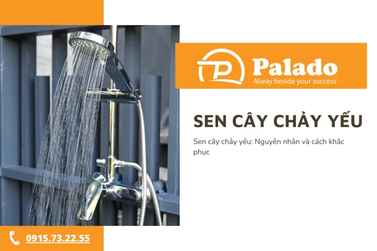 Sen cây chảy yếu Nguyên nhân và cách khắc phục