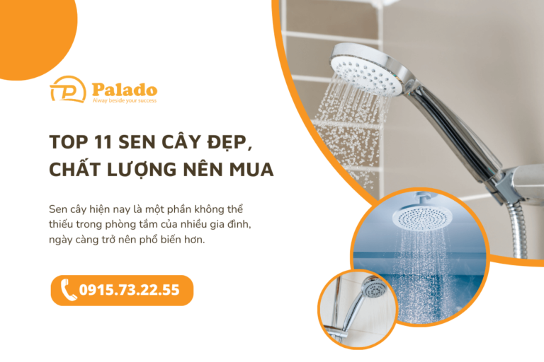 Top 11 sen cây đẹp, chất lượng nên mua