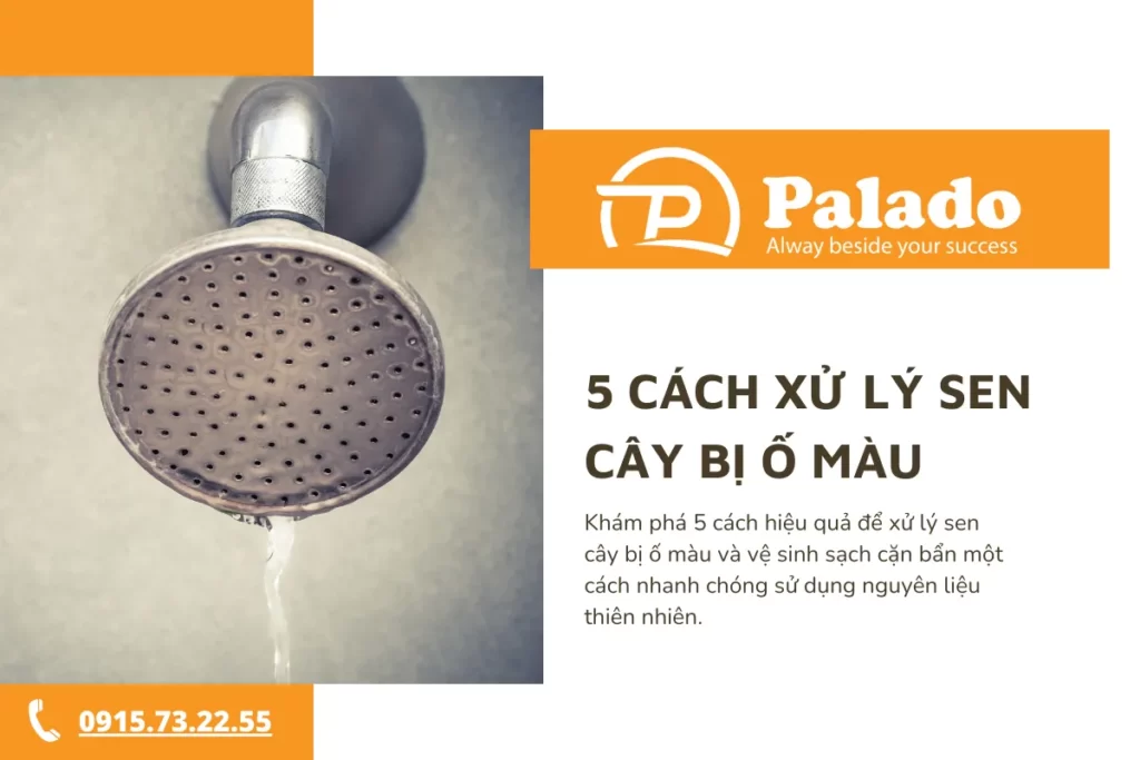 5 cách xử lý sen cây bị ố màu, vệ sinh sạch cặn bẩn nhanh chóng_6