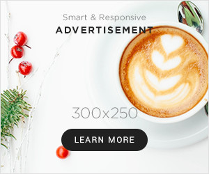 63Q5mw6f ad 300x250 1