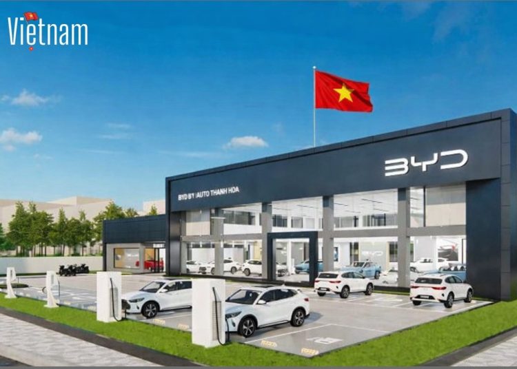 CARS Vietnam