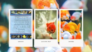 [Ebook] The New Guide to Aquarium Fish - The Goldfish