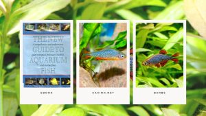 [Ebook] The New Guide to Aquarium Fish - Cypriniformes - Danios
