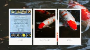 [Ebook] The New Guide to Aquarium Fish - Koi Carp