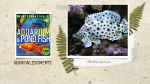 [Ebook] Encyclopedia of Aquarium & Pond Fish - Acknowledgments