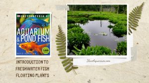 [Ebook] Encyclopedia of Aquarium & Pond Fish - Directory of Freshwater Plants - Floating plants