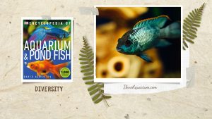 [Ebook] Encyclopedia of Aquarium & Pond Fish - Introduction to FISHKEEPING - Diversity