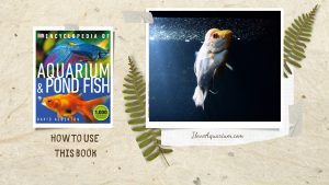 [Ebook] Encyclopedia of Aquarium & Pond Fish - How to use this book