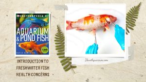 [Ebook] Encyclopedia of Aquarium & Pond Fish - Introduction to Freshwater Fish - Illness and treatment - Health concerns