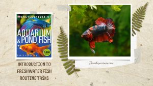 [Ebook] Encyclopedia of Aquarium & Pond Fish - Introduction to Freshwater Fish - Maintenance - Routine tasks