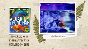 [Ebook] Encyclopedia of Aquarium & Pond Fish - Introduction to Marine Fish - Illness and treatment - Health concerns