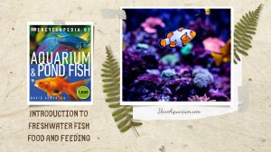 [Ebook] Encyclopedia of Aquarium & Pond Fish - Introduction to Marine Fish - Maintenance - Food and feeding