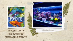 [Ebook] Encyclopedia of Aquarium & Pond Fish - Introduction to Marine Fish - Setting up the tank - Sitting and substrate