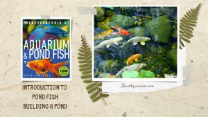 [Ebook] Encyclopedia of Aquarium & Pond Fish - Introduction to Pond Fish - Setting up the pond - Building a pond