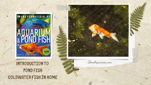 [Ebook] Encyclopedia of Aquarium & Pond Fish - Introduction to Pond Fish - Setting up the pond - Coldwater fish in home