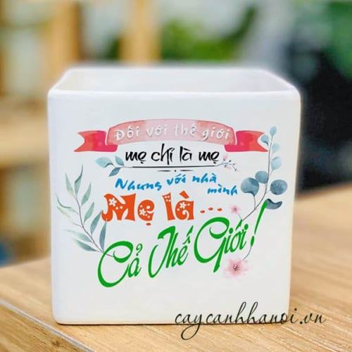 Chậu cây cảnh với slogan mẹ là cả thế giới