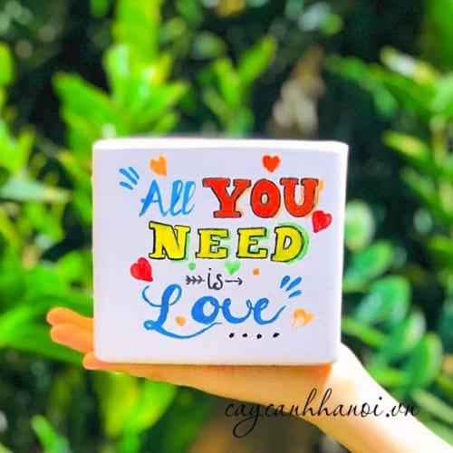 Chậu cây cảnh với slogan all you need is love