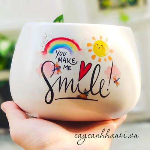 Chậu cây cảnh với Slogan Smile everyday