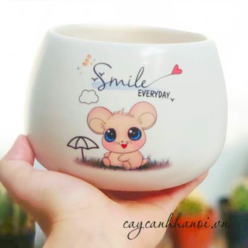 Chậu cây cảnh với slogan Chuột-smile everyday