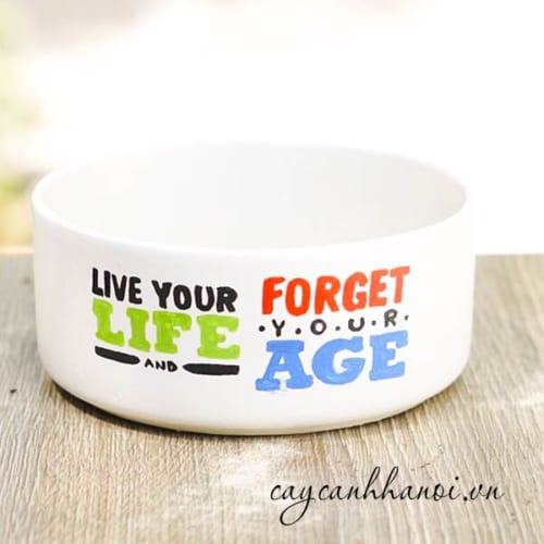 Chậu cây cảnh với slogan life