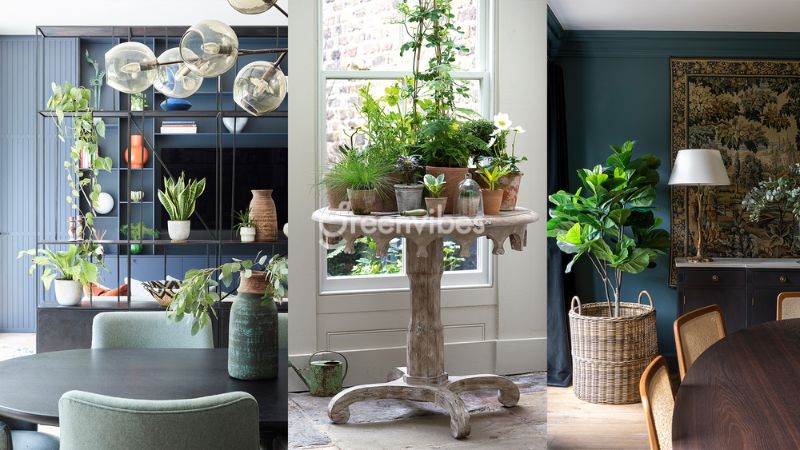 8 cách trang trí cây cảnh trong nhà đẹp, thu hút tài lộc