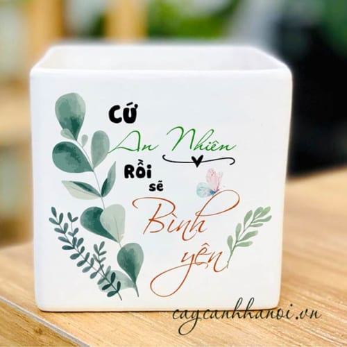 Chậu cây cảnh với slogan cứ an nhiên rồi sẽ bình yên