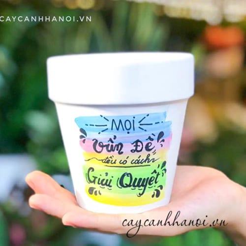 Chậu cây cảnh với slogan mọi việc đều có cách giải quyết