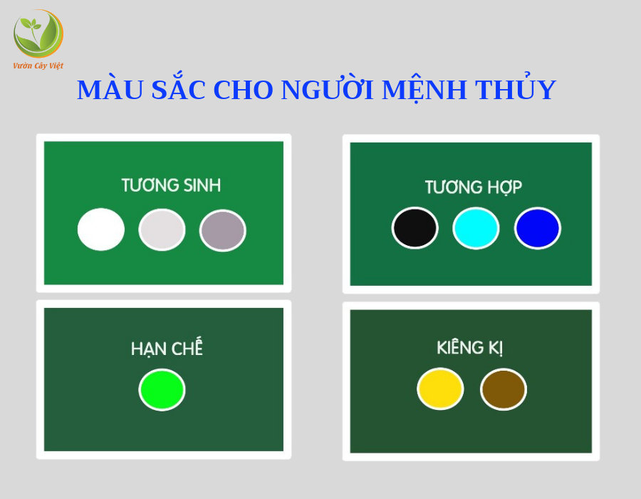 mau-sac-cay-trong-nguoi-menh-thuy bang-mau-sac-cho-nguoi-menh-thuy.png