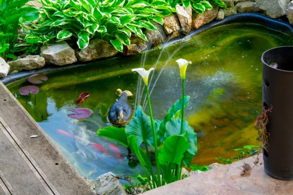 be-ca-ngoai-troi-2 be-ca-ngoai-troi