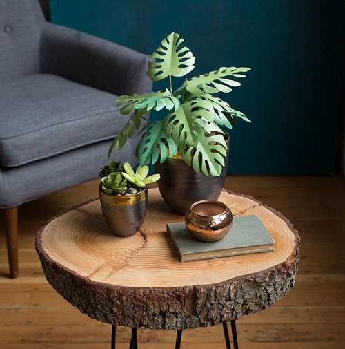 bi-quyet-cham-soc-cay-canh-sau-tet-cho-cay-tuoi-tot-khoe-manh-1 Bi-quyet-cham-soc-cay-canh-sau-tet-cho-cay-tuoi-tot-khoe-manh.jpg