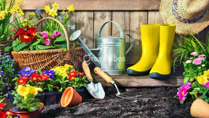 Bộ dụng cụ làm vườn chăm cây cảnh cần có những gì?