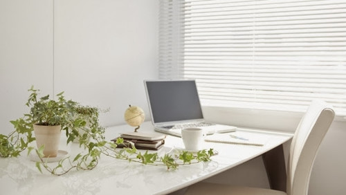 Cách bố trí cây cảnh trên bàn làm việc hợp lý cach-bo-tri-cay-canh-tren-ban-lam-viec-hop-ly-3.jpg