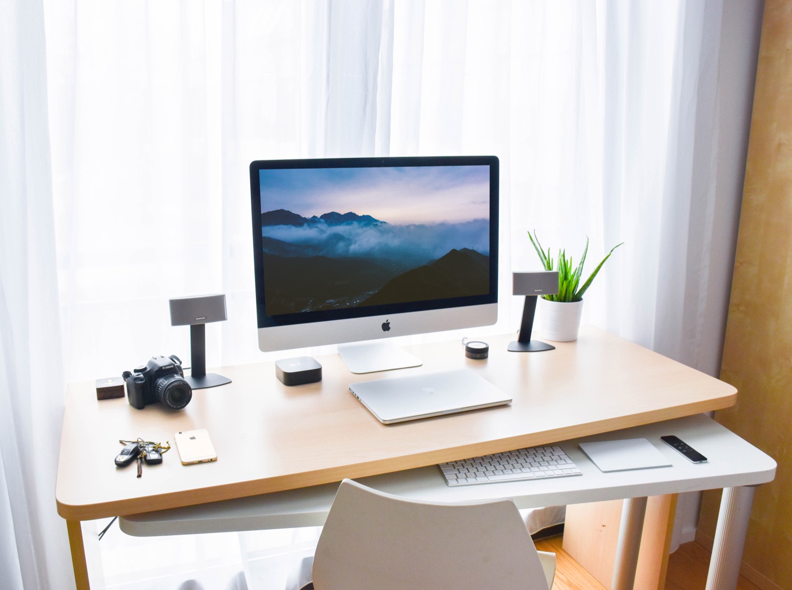 Cách bố trí cây cảnh trên bàn làm việc hợp lý cach-bo-tri-cay-canh-tren-ban-lam-viec-hop-ly-9.jpg